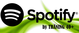 spotiylistor