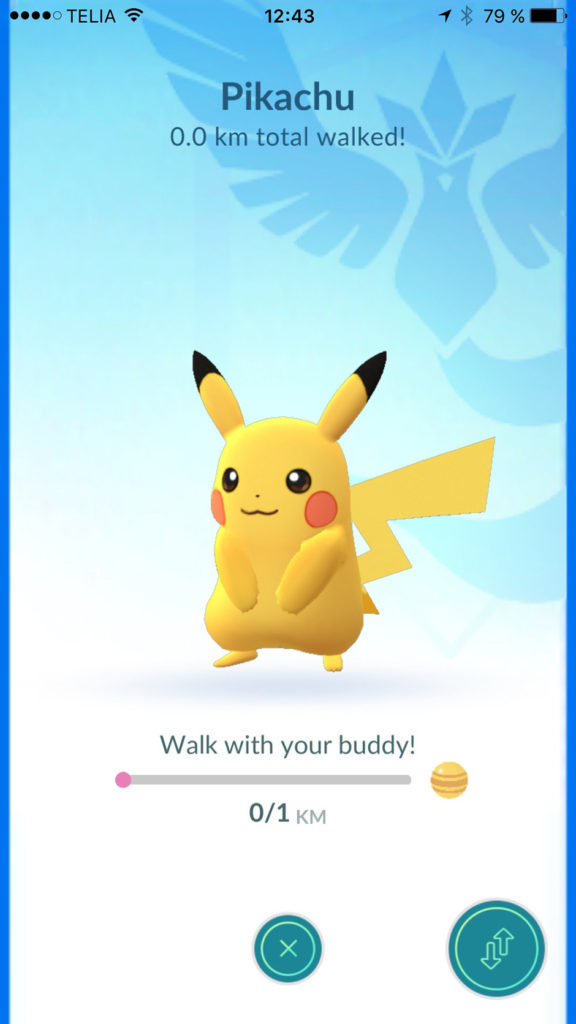 buddy pokemon go